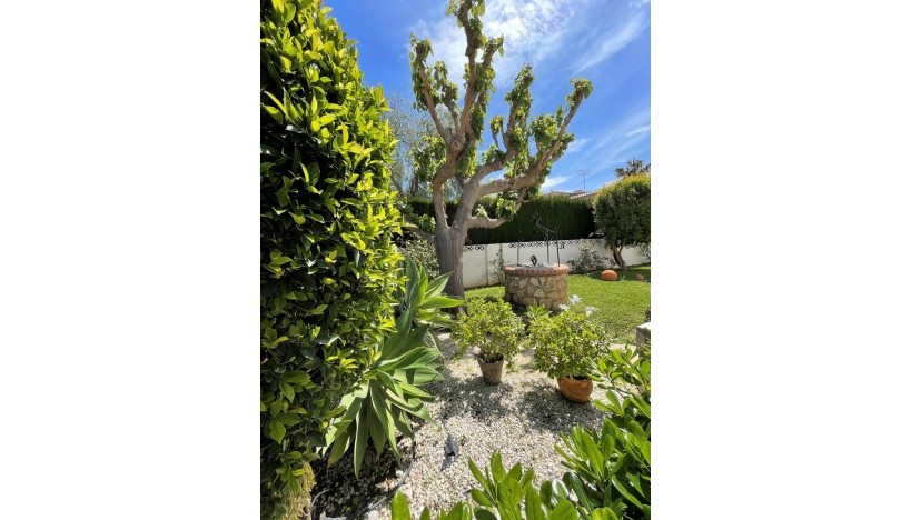 Resale - Villa - Denia