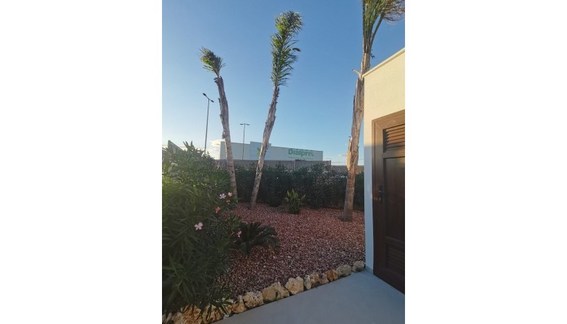 Neue Gebäude - Villa - Los Montesinos - La Herrada