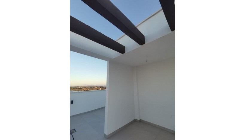 Neue Gebäude - Villa - Los Montesinos - La Herrada