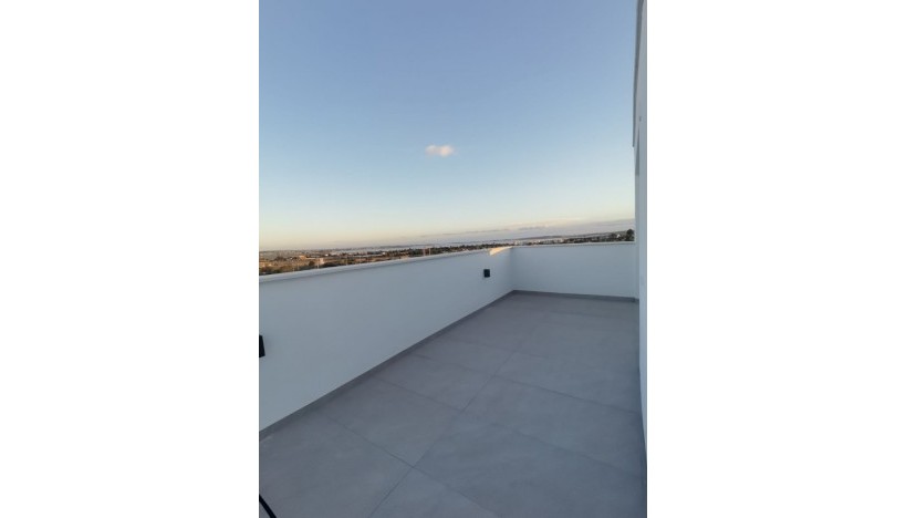 Neue Gebäude - Villa - Los Montesinos - La Herrada